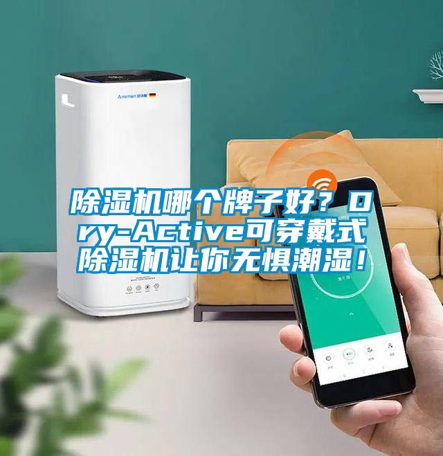 除濕機(jī)哪個(gè)牌子好？Dry-Active可穿戴式除濕機(jī)讓你無懼潮濕！