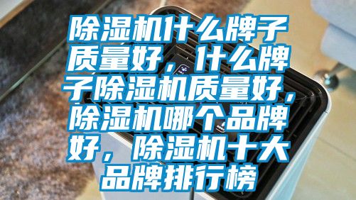 除濕機什么牌子質量好，什么牌子除濕機質量好，除濕機哪個品牌好，除濕機十大品牌排行榜