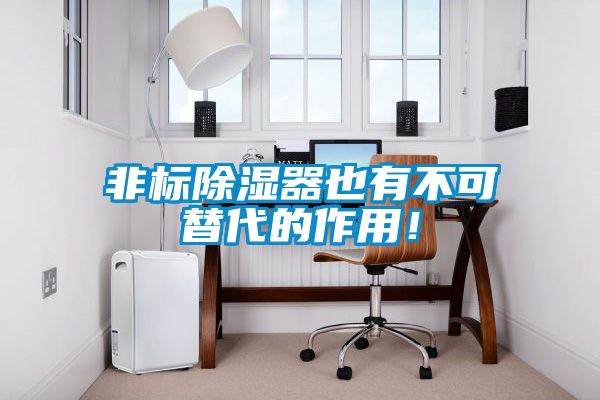 非標(biāo)除濕器也有不可替代的作用！