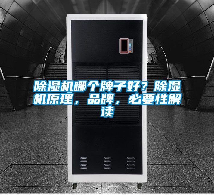 除濕機(jī)哪個(gè)牌子好？除濕機(jī)原理，品牌，必要性解讀
