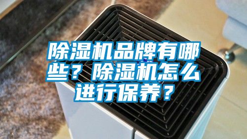 除濕機品牌有哪些？除濕機怎么進行保養(yǎng)？