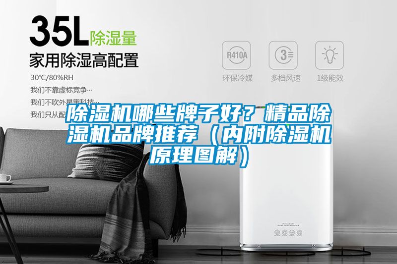 除濕機哪些牌子好？精品除濕機品牌推薦（內(nèi)附除濕機原理圖解）