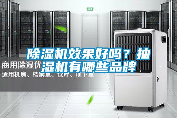 除濕機(jī)效果好嗎？抽濕機(jī)有哪些品牌
