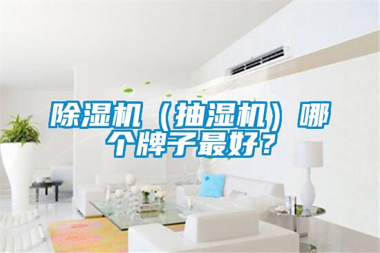 除濕機（抽濕機）哪個牌子最好？