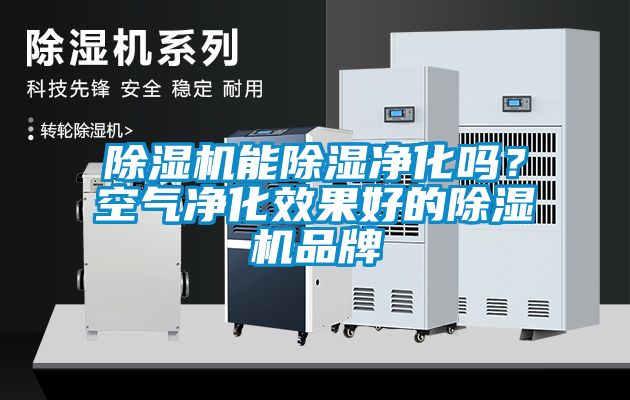 除濕機(jī)能除濕凈化嗎？空氣凈化效果好的除濕機(jī)品牌