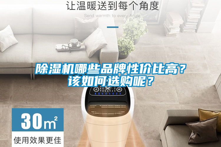 除濕機(jī)哪些品牌性價(jià)比高？該如何選購呢？