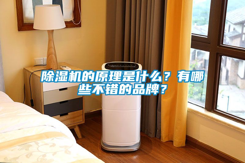 除濕機的原理是什么？有哪些不錯的品牌？