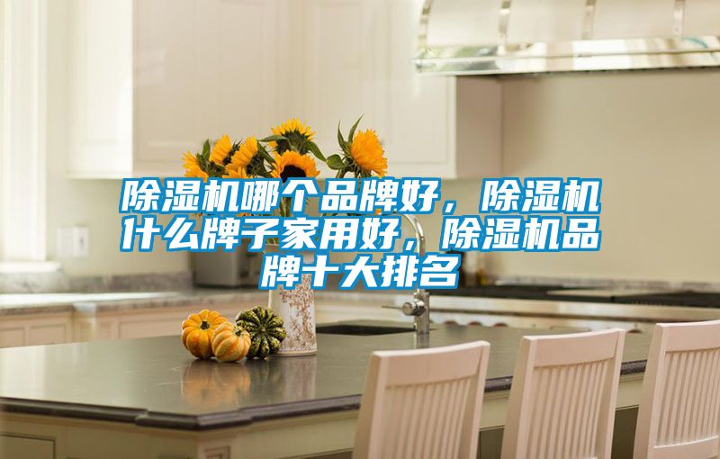 除濕機(jī)哪個(gè)品牌好，除濕機(jī)什么牌子家用好，除濕機(jī)品牌十大排名