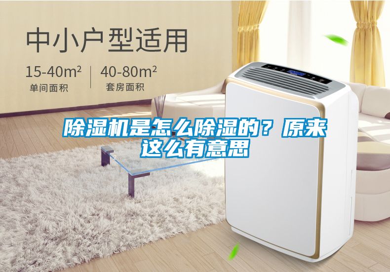 除濕機是怎么除濕的？原來這么有意思