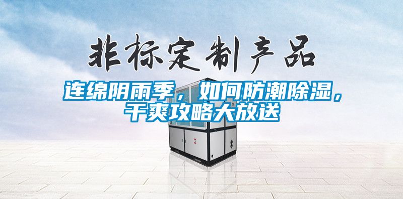 連綿陰雨季，如何防潮除濕，干爽攻略大放送