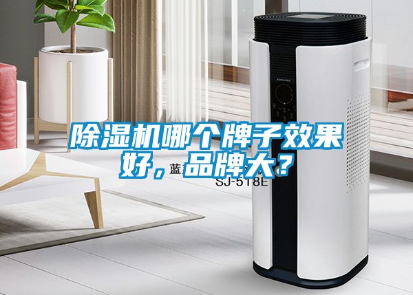 除濕機(jī)哪個(gè)牌子效果好，品牌大？
