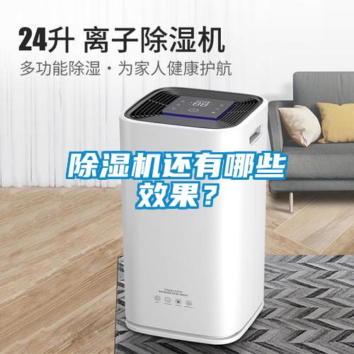 除濕機還有哪些效果？