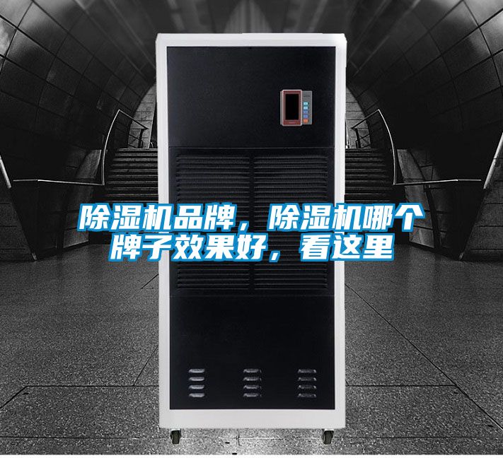 除濕機品牌，除濕機哪個牌子效果好，看這里