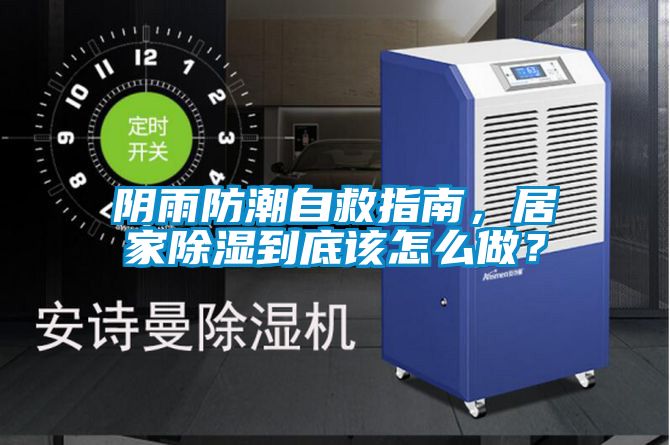 陰雨防潮自救指南，居家除濕到底該怎么做？