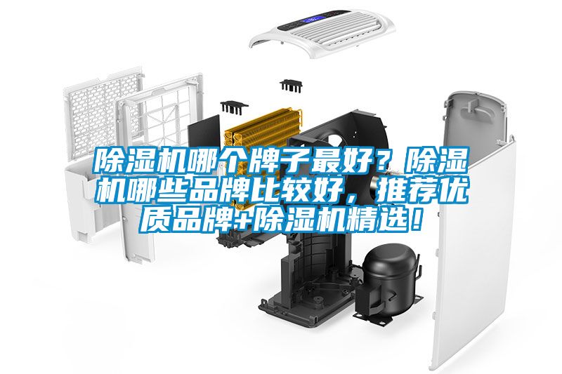 除濕機(jī)哪個(gè)牌子最好？除濕機(jī)哪些品牌比較好，推薦優(yōu)質(zhì)品牌+除濕機(jī)精選！