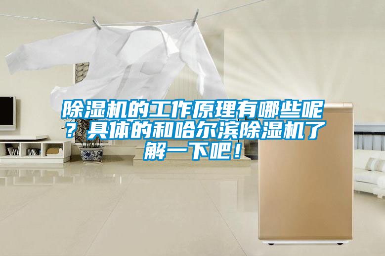 除濕機(jī)的工作原理有哪些呢？具體的和哈爾濱除濕機(jī)了解一下吧！