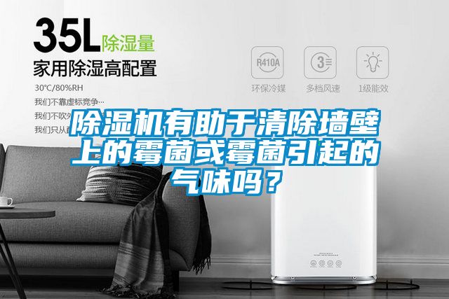 除濕機有助于清除墻壁上的霉菌或霉菌引起的氣味嗎？