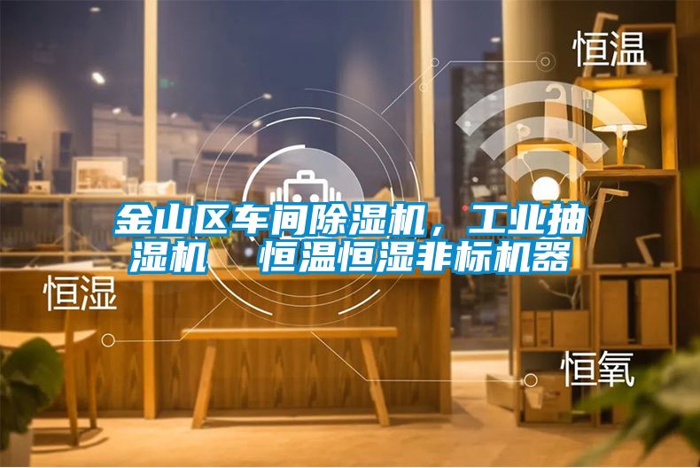 金山區(qū)車間除濕機，工業(yè)抽濕機  恒溫恒濕非標機器