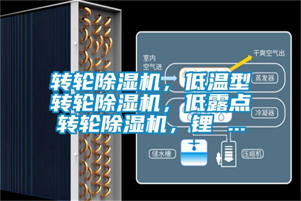 轉(zhuǎn)輪除濕機，低溫型轉(zhuǎn)輪除濕機，低露點轉(zhuǎn)輪除濕機，鋰 ...