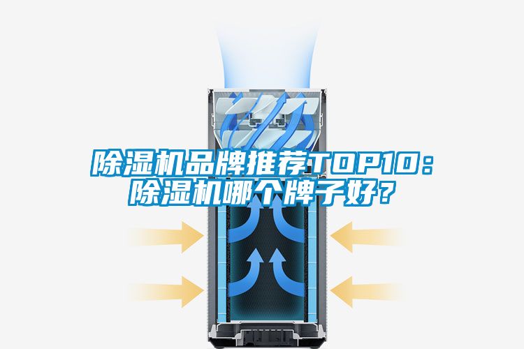 除濕機(jī)品牌推薦TOP10：除濕機(jī)哪個牌子好？