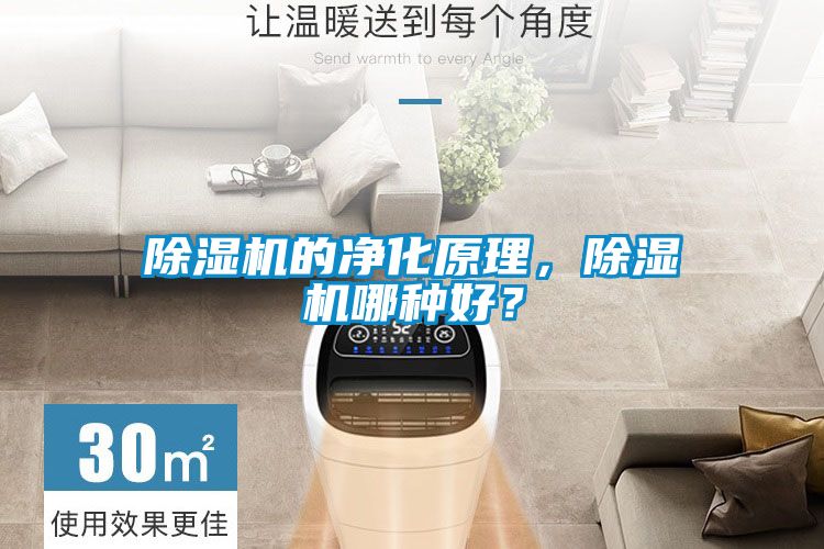 除濕機(jī)的凈化原理，除濕機(jī)哪種好？