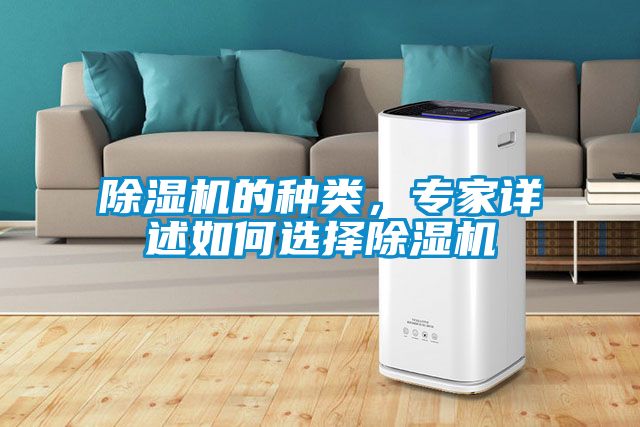 除濕機的種類，專家詳述如何選擇除濕機