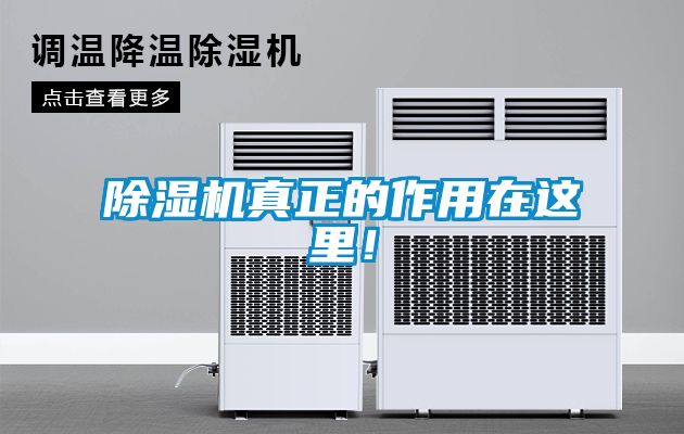 除濕機真正的作用在這里！