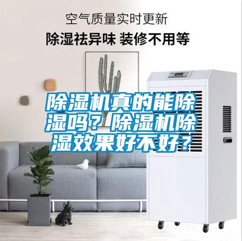 除濕機(jī)真的能除濕嗎？除濕機(jī)除濕效果好不好？