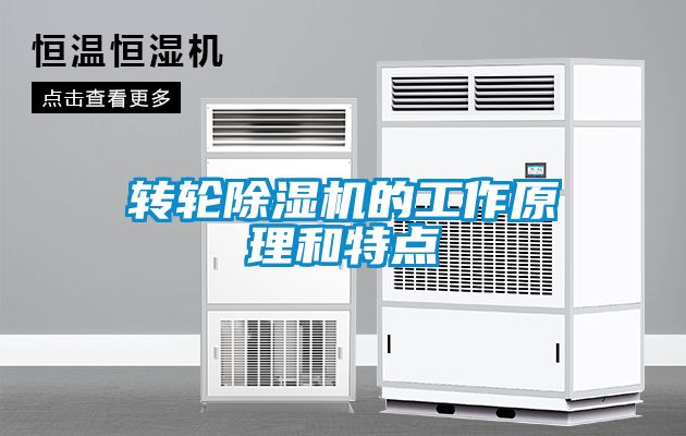 轉(zhuǎn)輪除濕機(jī)的工作原理和特點