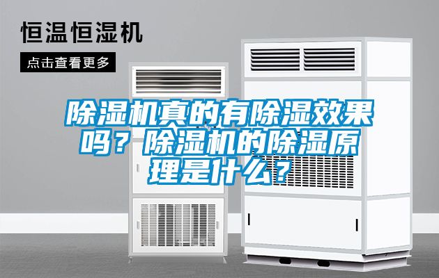 除濕機(jī)真的有除濕效果嗎？除濕機(jī)的除濕原理是什么？