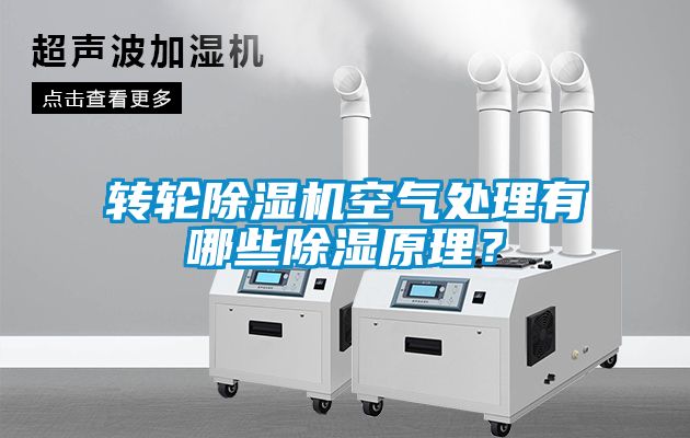 轉(zhuǎn)輪除濕機(jī)空氣處理有哪些除濕原理？
