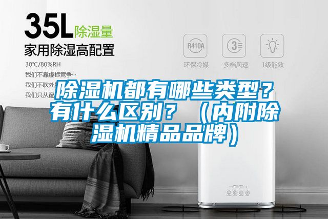 除濕機(jī)都有哪些類型？有什么區(qū)別？（內(nèi)附除濕機(jī)精品品牌）