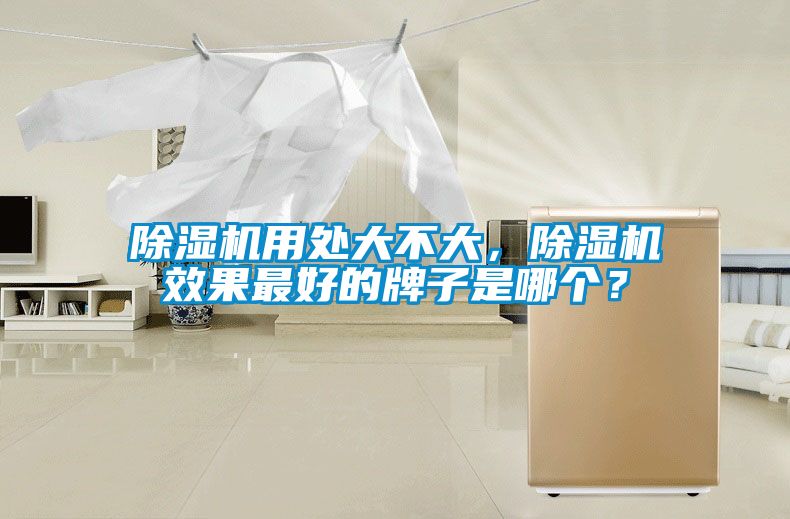 除濕機用處大不大，除濕機效果最好的牌子是哪個？