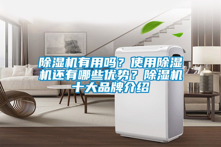 除濕機有用嗎？使用除濕機還有哪些優(yōu)勢？除濕機十大品牌介紹