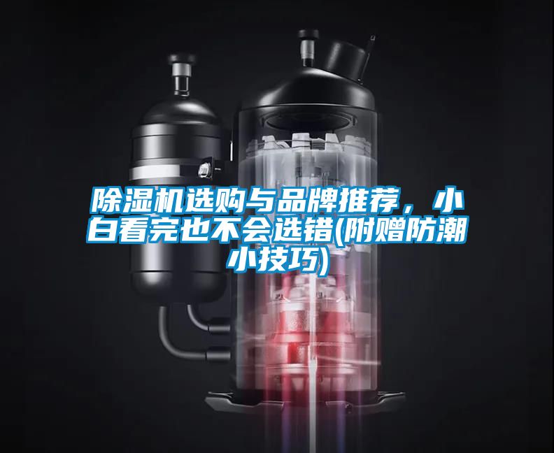 除濕機(jī)選購與品牌推薦，小白看完也不會選錯(附贈防潮小技巧)