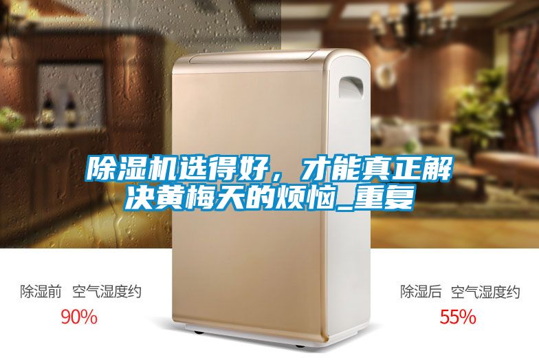 除濕機(jī)選得好，才能真正解決黃梅天的煩惱_重復(fù)