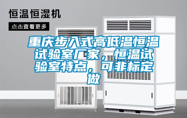 重慶步入式高低溫恒溫試驗(yàn)室廠家，恒溫試驗(yàn)室特點(diǎn)，可非標(biāo)定做