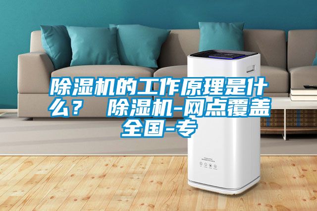 除濕機(jī)的工作原理是什么？ 除濕機(jī)-網(wǎng)點(diǎn)覆蓋全國(guó)-專(zhuān)