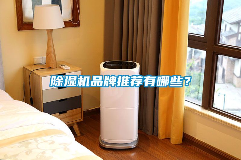 除濕機(jī)品牌推薦有哪些？