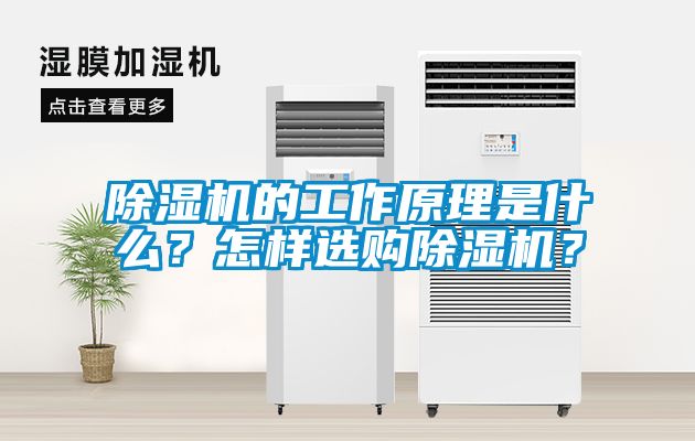 除濕機(jī)的工作原理是什么？怎樣選購除濕機(jī)？