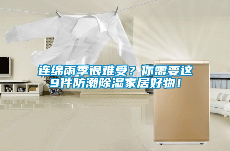 連綿雨季很難受？你需要這9件防潮除濕家居好物！