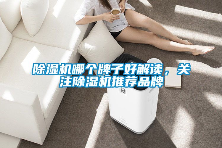 除濕機哪個牌子好解讀，關(guān)注除濕機推薦品牌