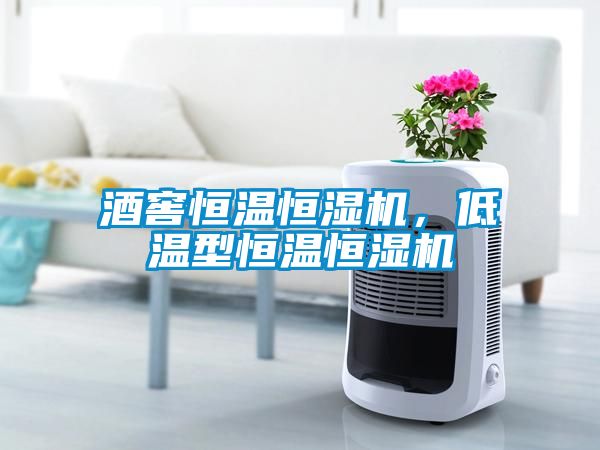 酒窖恒溫恒濕機(jī)，低溫型恒溫恒濕機(jī)