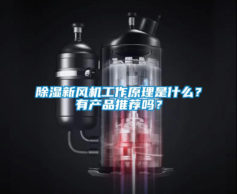 除濕新風(fēng)機(jī)工作原理是什么？有產(chǎn)品推薦嗎？
