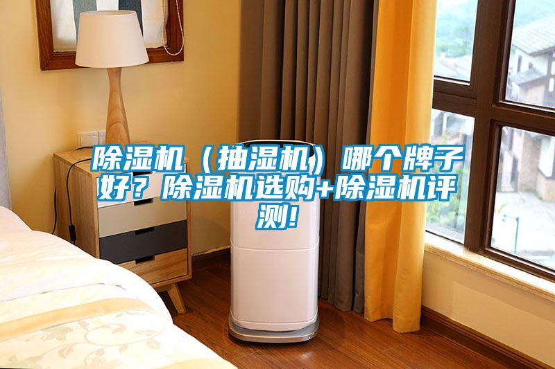 除濕機（抽濕機）哪個牌子好？除濕機選購+除濕機評測!