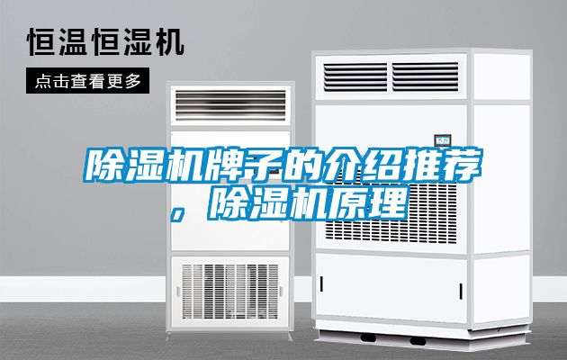 除濕機牌子的介紹推薦，除濕機原理