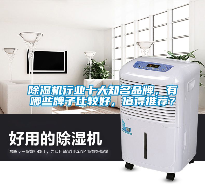 除濕機(jī)行業(yè)十大知名品牌，有哪些牌子比較好，值得推薦？