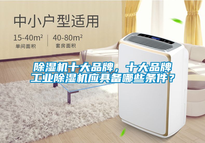 除濕機十大品牌，十大品牌工業(yè)除濕機應(yīng)具備哪些條件？