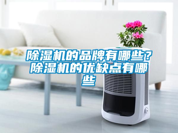 除濕機的品牌有哪些？除濕機的優(yōu)缺點有哪些