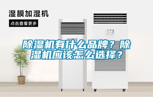 除濕機(jī)有什么品牌？除濕機(jī)應(yīng)該怎么選擇？